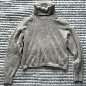 Aritzia Wildfred Free Hush Knit Cropped Turtleneck